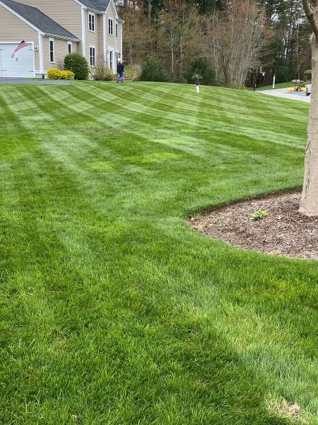 Bridgewater Lawn Fertilization Calendar: When to Feed Your Grass in Massachusetts Thumbnail