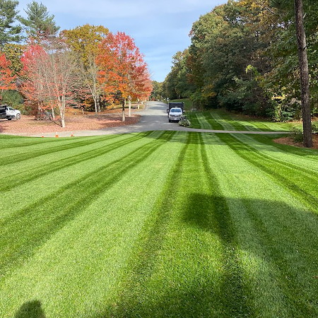Lawn aeration in massachusetts best timing for cool season grass