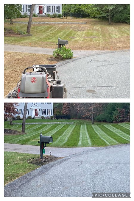 Overseeding after aeration how to get seed to soil contact that actually works