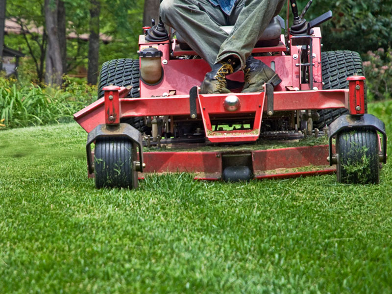 Weekly Lawn Mowing Services