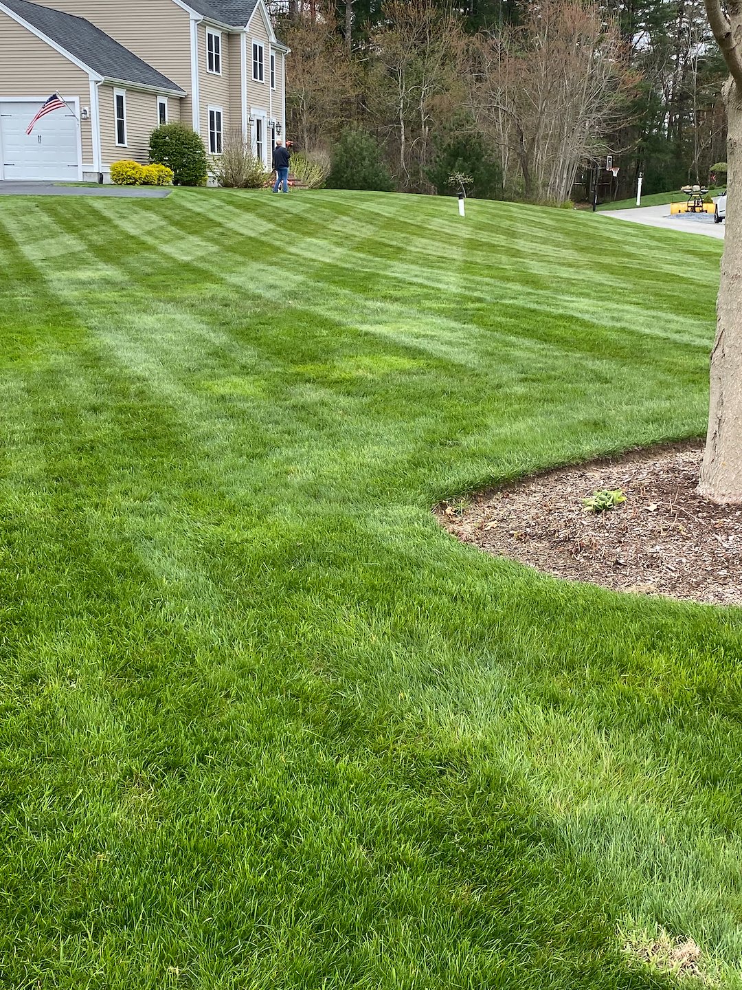 Premier Lawn Fertilization Services in East Bridgewater, Massachusetts