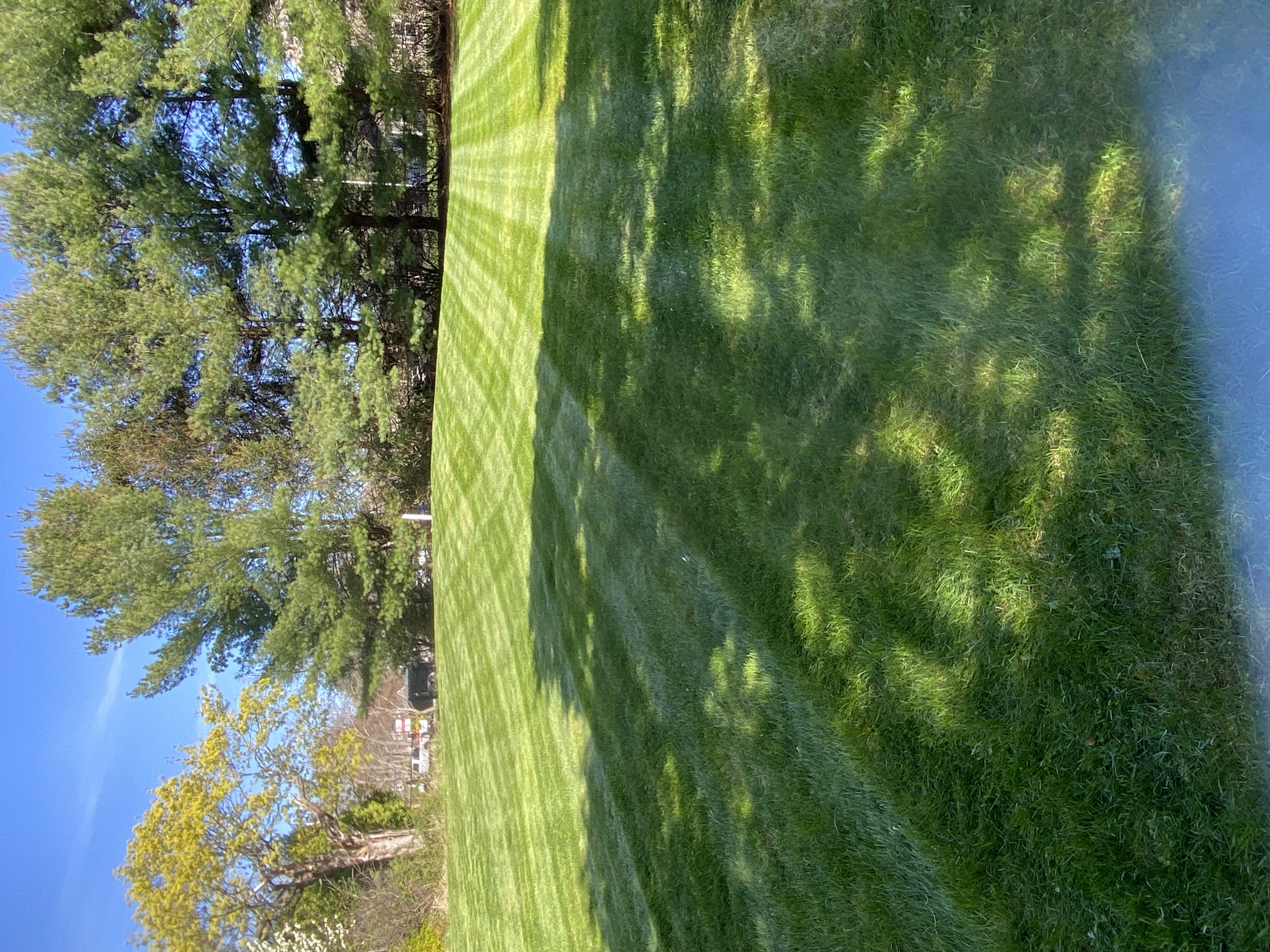 Transform Your Yard with Professional Weekly Lawn Mowing Services in West Bridgewater